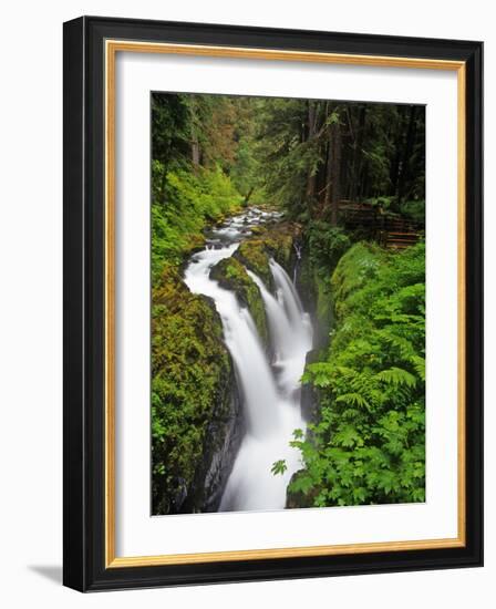 Sol Duc Falls in Olympic National Park, Washington, USA-Chuck Haney-Framed Photographic Print