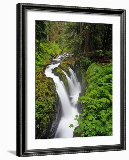 Sol Duc Falls in Olympic National Park, Washington, USA-Chuck Haney-Framed Photographic Print