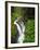 Sol Duc Falls in Olympic National Park, Washington, USA-Chuck Haney-Framed Photographic Print