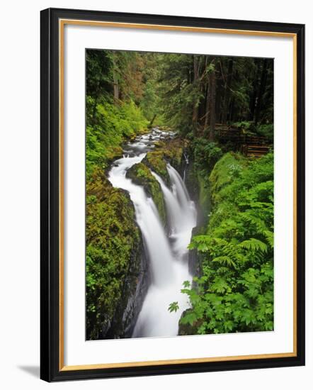 Sol Duc Falls in Olympic National Park, Washington, USA-Chuck Haney-Framed Photographic Print