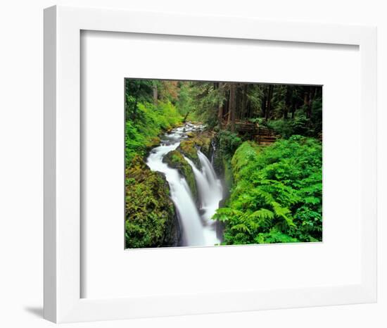 Sol Duc Falls in Olympic National Park, Washington, USA-Chuck Haney-Framed Photographic Print