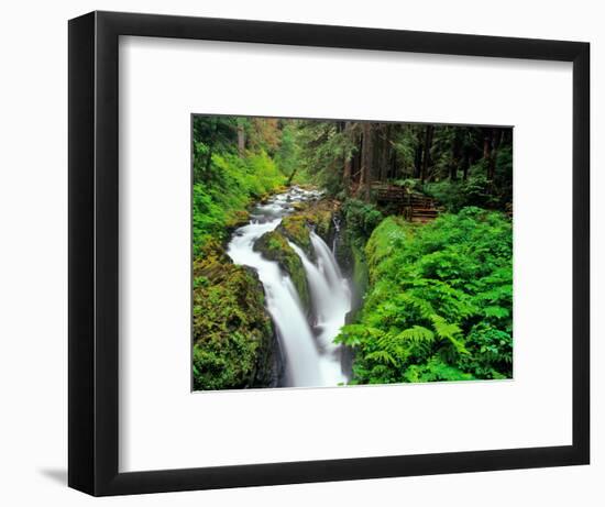 Sol Duc Falls in Olympic National Park, Washington, USA-Chuck Haney-Framed Photographic Print