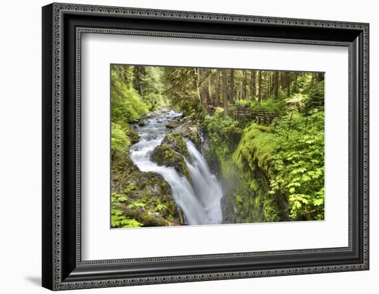 Sol Duc Falls, Olympic National Park, UNESCO World Heritage Site-Richard Maschmeyer-Framed Photographic Print