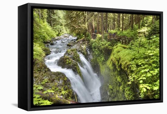 Sol Duc Falls, Olympic National Park, UNESCO World Heritage Site-Richard Maschmeyer-Framed Premier Image Canvas