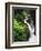 Sol Duc Falls, Olympic Peninsula, Olympic National Park, Washington, USA-Adam Jones-Framed Photographic Print