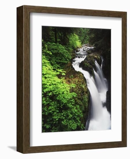 Sol Duc Falls, Olympic Peninsula, Olympic National Park, Washington, USA-Adam Jones-Framed Photographic Print