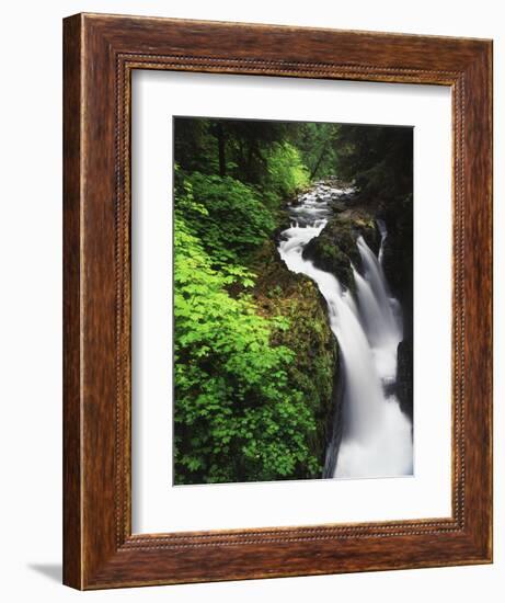 Sol Duc Falls, Olympic Peninsula, Olympic National Park, Washington, USA-Adam Jones-Framed Photographic Print