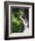 Sol Duc Falls, Olympic Peninsula, Olympic National Park, Washington, USA-Adam Jones-Framed Photographic Print