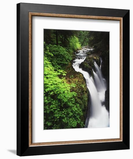 Sol Duc Falls, Olympic Peninsula, Olympic National Park, Washington, USA-Adam Jones-Framed Photographic Print