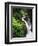 Sol Duc Falls, Olympic Peninsula, Olympic National Park, Washington, USA-Adam Jones-Framed Photographic Print