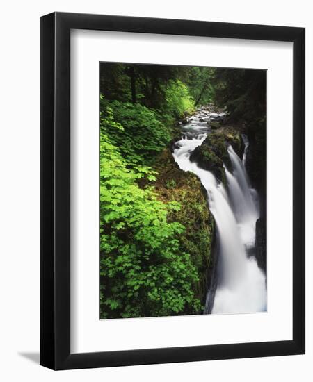 Sol Duc Falls, Olympic Peninsula, Olympic National Park, Washington, USA-Adam Jones-Framed Photographic Print