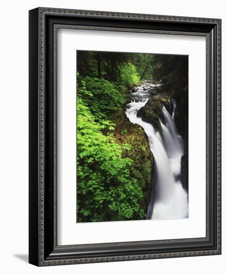 Sol Duc Falls, Olympic Peninsula, Olympic National Park, Washington, USA-Adam Jones-Framed Photographic Print