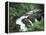 Sol Duc Falls, Olympic Rainforest, Olympic National Park, Washington, USA-Adam Jones-Framed Premier Image Canvas