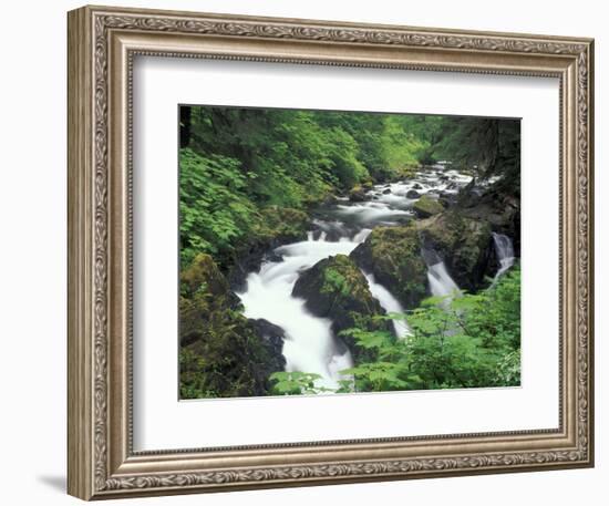 Sol Duc Falls, Olympic Rainforest, Olympic National Park, Washington, USA-Adam Jones-Framed Photographic Print