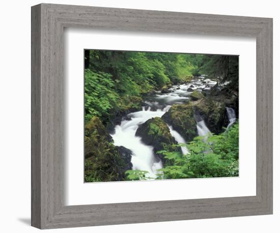 Sol Duc Falls, Olympic Rainforest, Olympic National Park, Washington, USA-Adam Jones-Framed Photographic Print