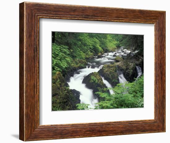 Sol Duc Falls, Olympic Rainforest, Olympic National Park, Washington, USA-Adam Jones-Framed Photographic Print