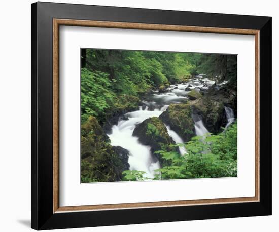 Sol Duc Falls, Olympic Rainforest, Olympic National Park, Washington, USA-Adam Jones-Framed Photographic Print