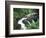 Sol Duc Falls, Olympic Rainforest, Olympic National Park, Washington, USA-Adam Jones-Framed Photographic Print