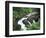 Sol Duc Falls, Olympic Rainforest, Olympic National Park, Washington, USA-Adam Jones-Framed Photographic Print