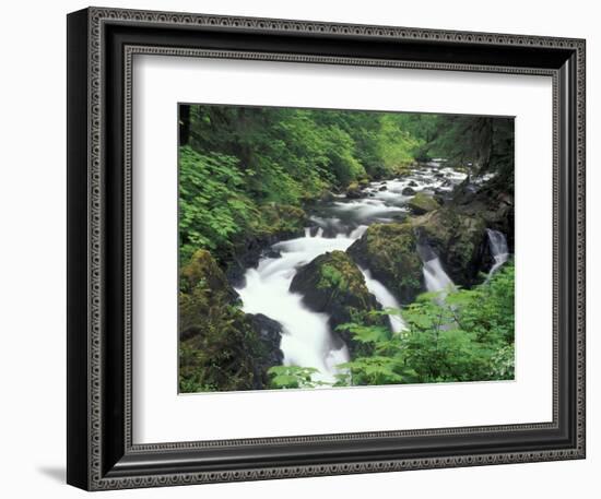 Sol Duc Falls, Olympic Rainforest, Olympic National Park, Washington, USA-Adam Jones-Framed Photographic Print