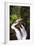 Sol Duc River Falls-Douglas Taylor-Framed Photo