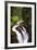 Sol Duc River Falls-Douglas Taylor-Framed Photo