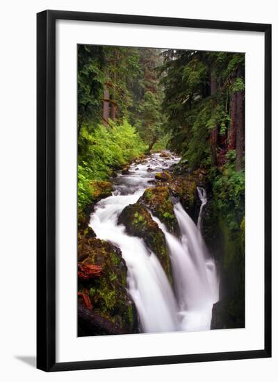 Sol Duc River Falls-Douglas Taylor-Framed Photo