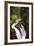 Sol Duc River Falls-Douglas Taylor-Framed Photo