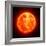 Solar Activity, Artwork-SCIEPRO-Framed Premium Photographic Print