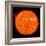 Solar Activity on the Sun-Stocktrek Images-Framed Photographic Print