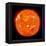 Solar Activity on the Sun-Stocktrek Images-Framed Premier Image Canvas