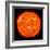 Solar Activity on the Sun-Stocktrek Images-Framed Photographic Print