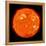 Solar Activity on the Sun-Stocktrek Images-Framed Premier Image Canvas