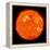 Solar Activity on the Sun-Stocktrek Images-Framed Premier Image Canvas