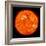 Solar Activity on the Sun-Stocktrek Images-Framed Photographic Print