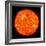 Solar Activity on the Sun-Stocktrek Images-Framed Photographic Print