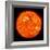 Solar Activity on the Sun-Stocktrek Images-Framed Photographic Print