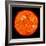 Solar Activity on the Sun-Stocktrek Images-Framed Photographic Print