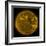 Solar Activity on the Sun-Stocktrek Images-Framed Photographic Print