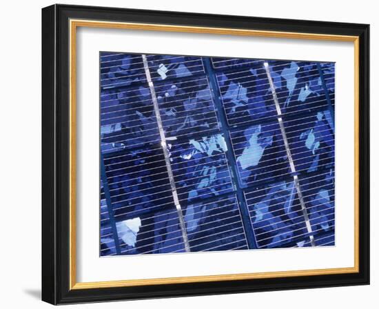 Solar Cells-Martin Bond-Framed Photographic Print