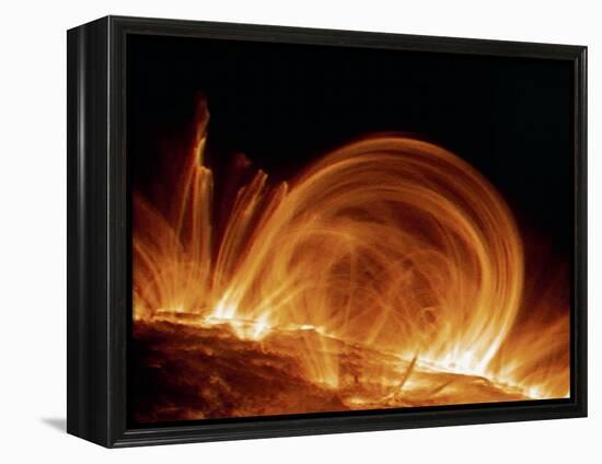 Solar Coronal Loops-null-Framed Premier Image Canvas