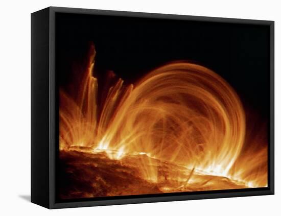 Solar Coronal Loops-null-Framed Premier Image Canvas