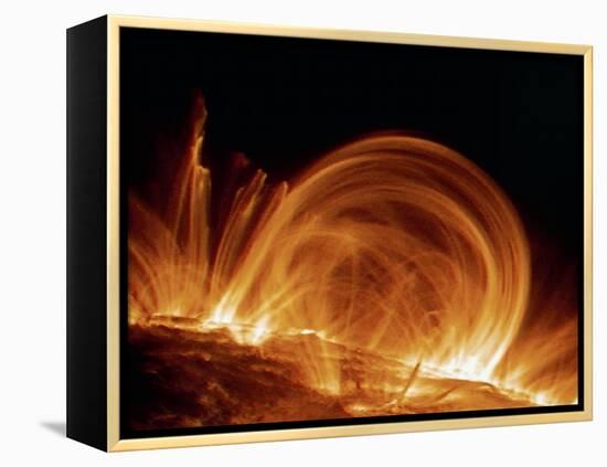 Solar Coronal Loops-null-Framed Premier Image Canvas