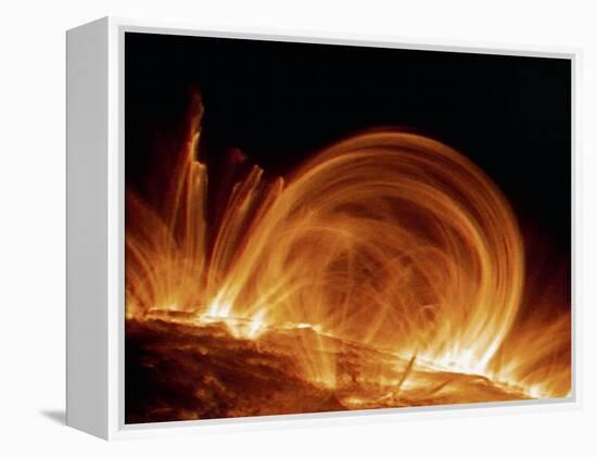 Solar Coronal Loops-null-Framed Premier Image Canvas