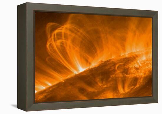 Solar Coronal Loops-null-Framed Premier Image Canvas