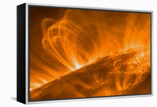 Solar Coronal Loops-null-Framed Premier Image Canvas