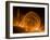 Solar Coronal Loops-null-Framed Photographic Print