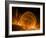 Solar Coronal Loops-null-Framed Photographic Print