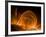 Solar Coronal Loops-null-Framed Photographic Print