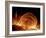 Solar Coronal Loops-null-Framed Photographic Print